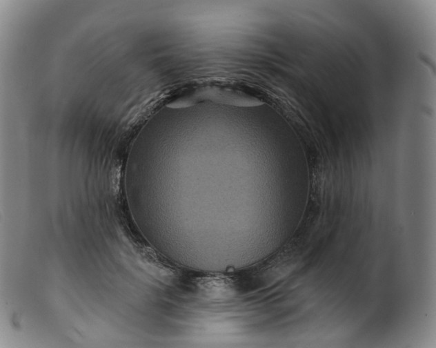 X0000099380652200805221807