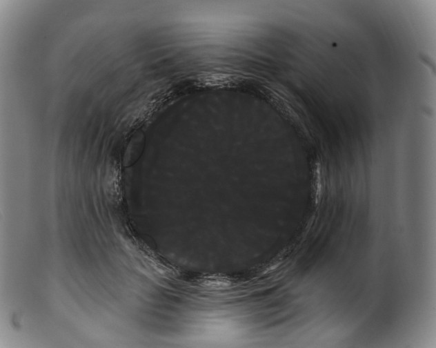 X0000099380653200805221807