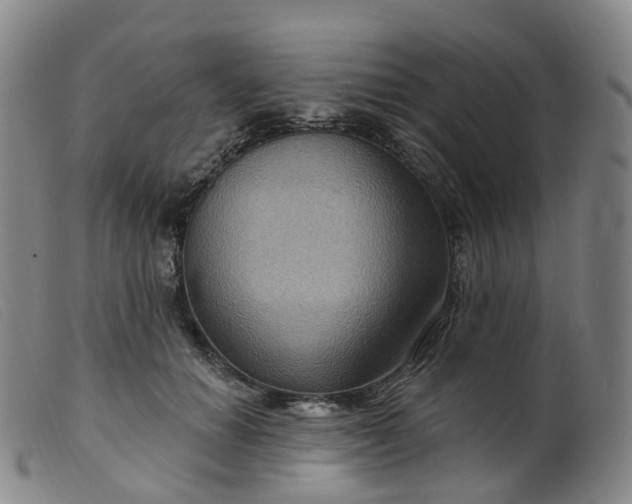 X0000099380654200805221807