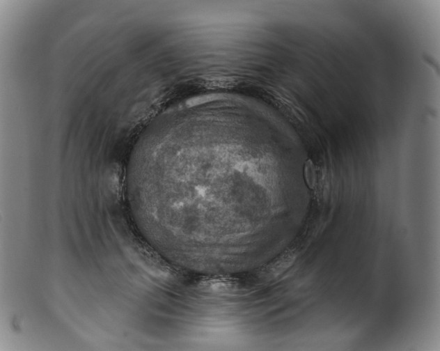 X0000099380655200805221807