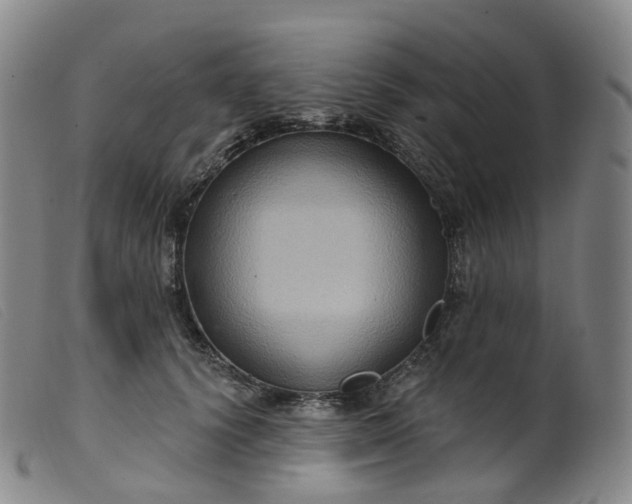 X0000099380656200805221808