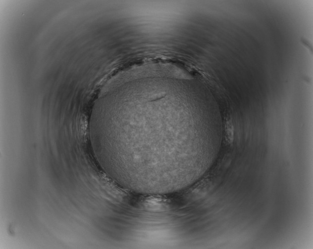 X0000099380657200805221808