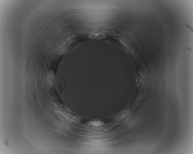 X0000099380659200805221808