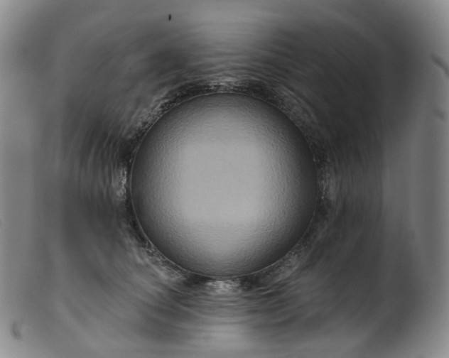 X0000099380660200805221808