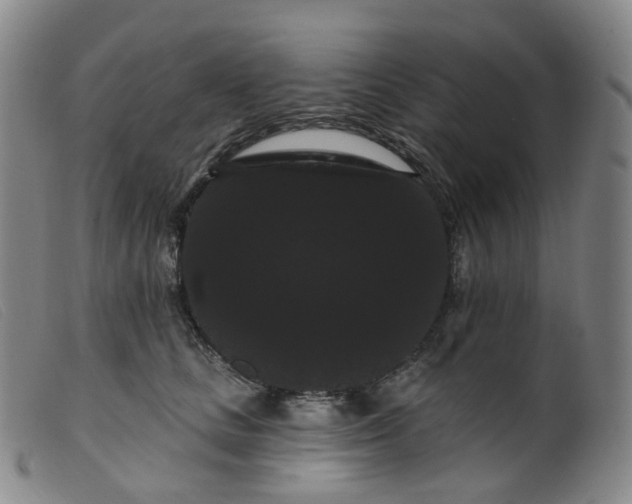 X0000099380661200805221808