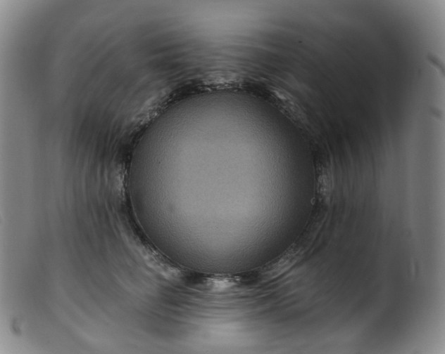 X0000099380662200805221808