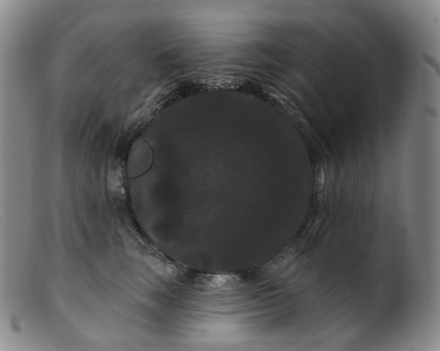 X0000099380663200805221808