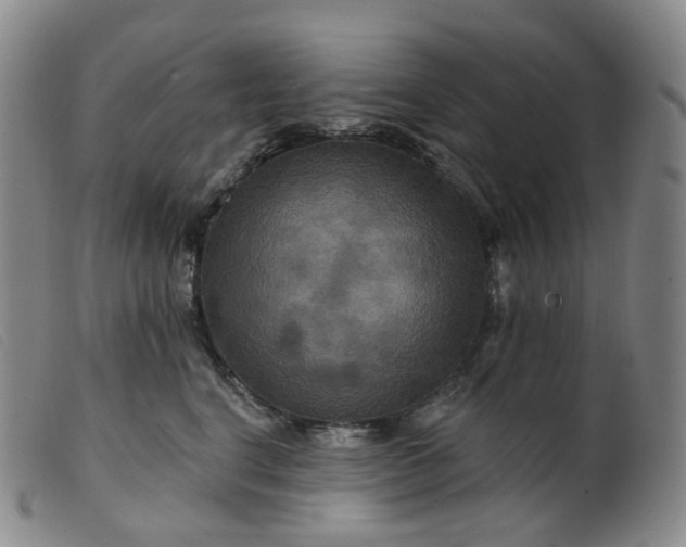 X0000099380664200805221808