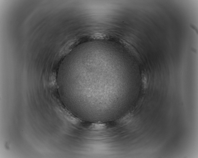 X0000099380665200805221808