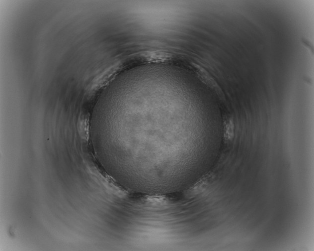 X0000099380666200805221808