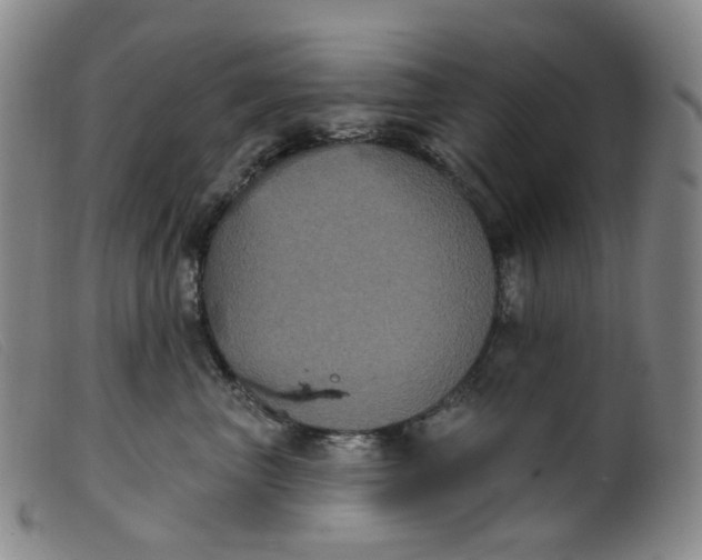 X0000099380667200805221808