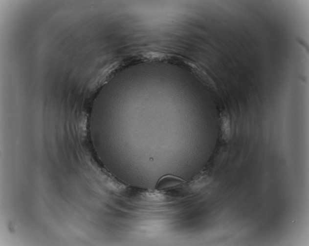 X0000099380668200805221808