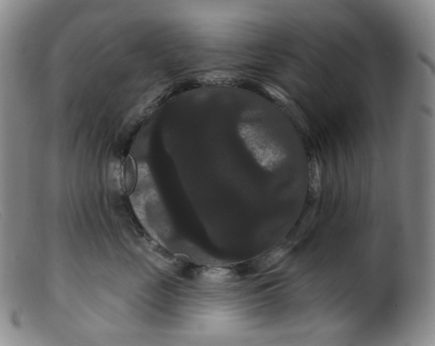 X0000099380669200805221808