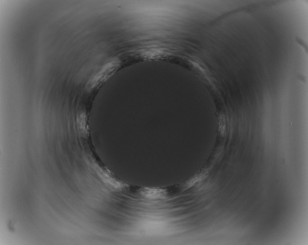 X0000099380670200805221808