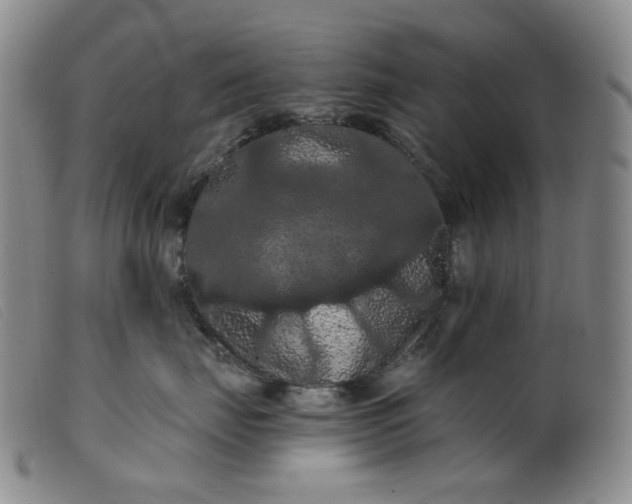 X0000099380671200805221808