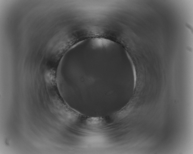 X0000099380672200805221808