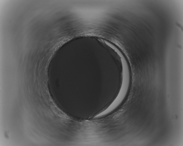 X0000099380673200805221807