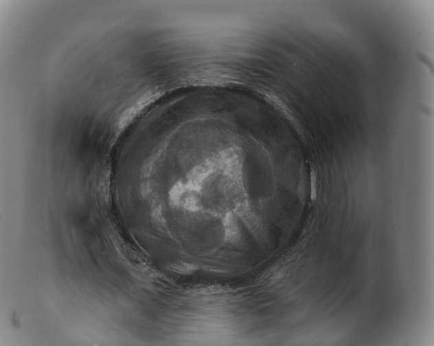 X0000099380675200805221807