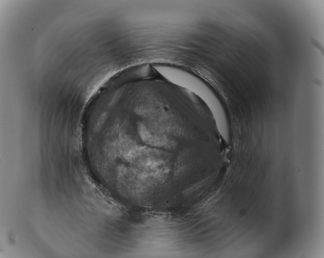 X0000099380676200805221807