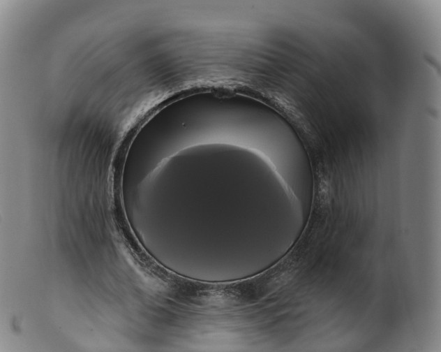 X0000099380678200805221807