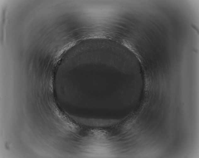 X0000099380681200805221807