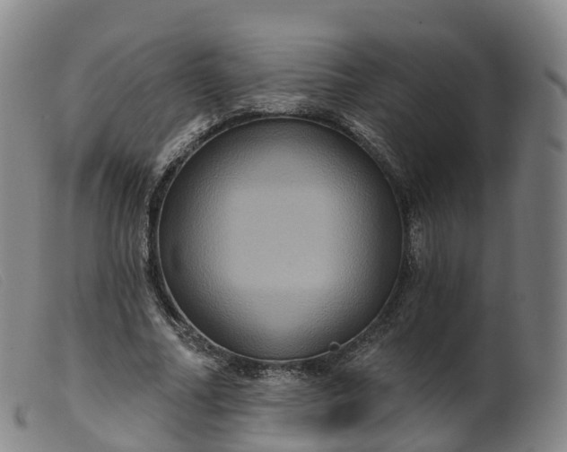 X0000099380682200805221807