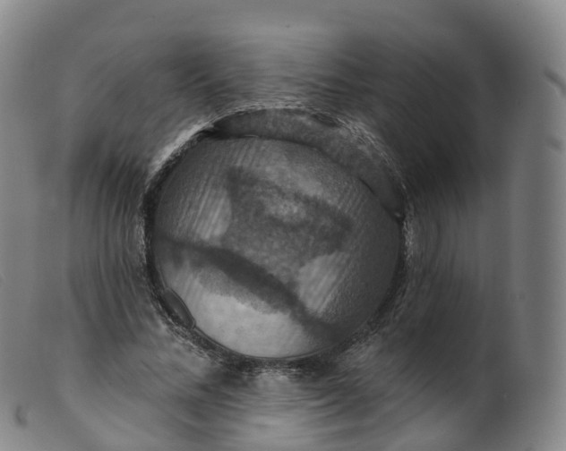 X0000099380684200805221807