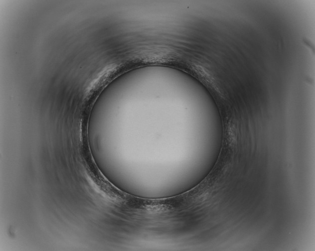 X0000099380686200805221807