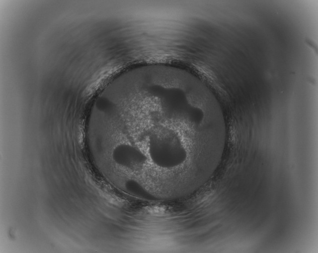 X0000099380687200805221807