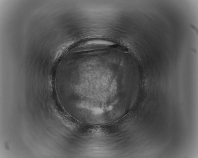 X0000099380688200805221807