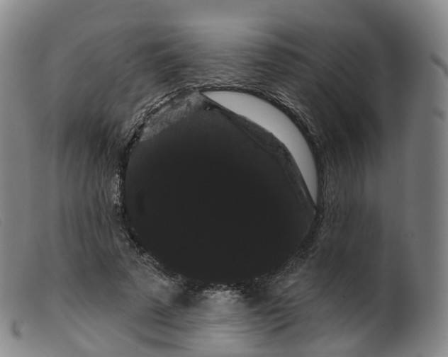 X0000099380689200805221807