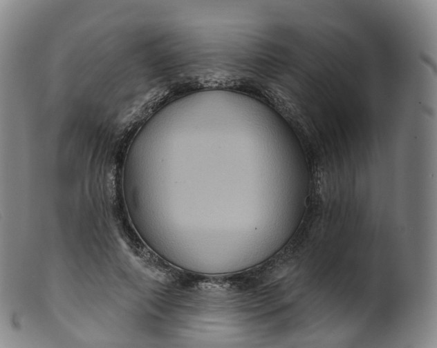 X0000099380690200805221807