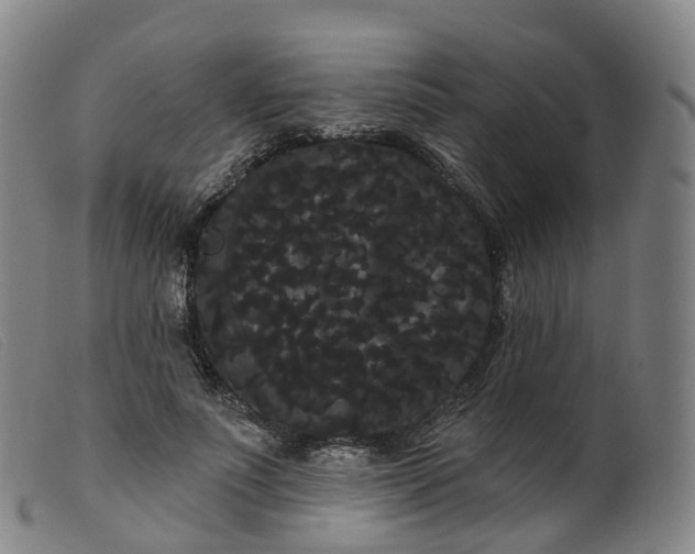 X0000099380691200805221807