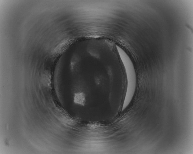 X0000099380693200805221806