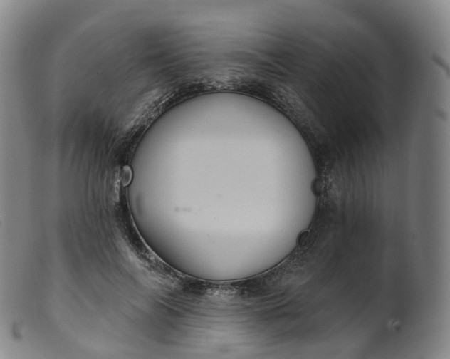 X0000099380694200805221806