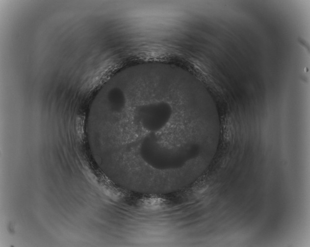 X0000099380695200805221806