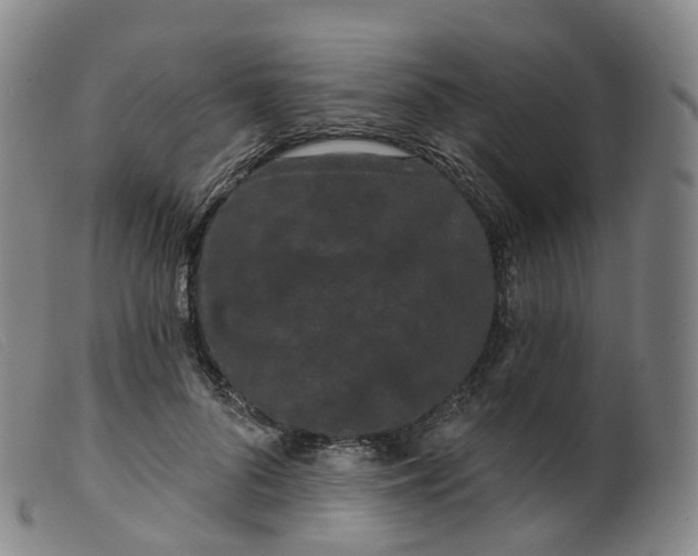 X0000099380696200805221806