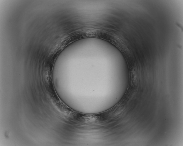 X0000099380698200805221806