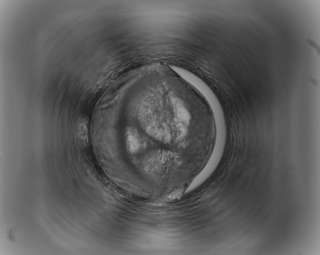 X0000099380699200805221806