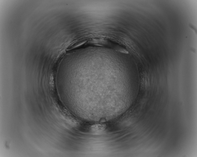 X0000099380700200805221806