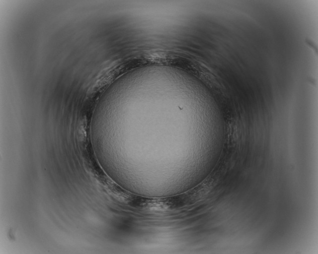 X0000099380702200805221806