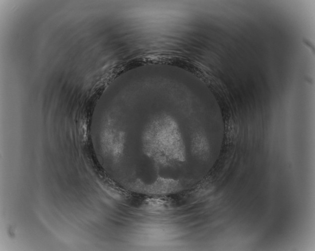 X0000099380703200805221806