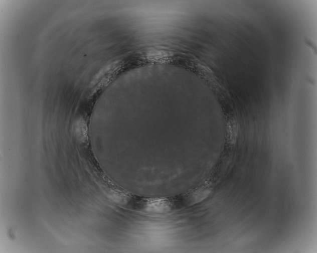 X0000099380705200805221806