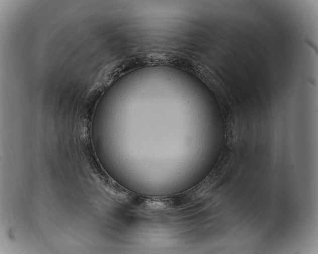 X0000099380706200805221806