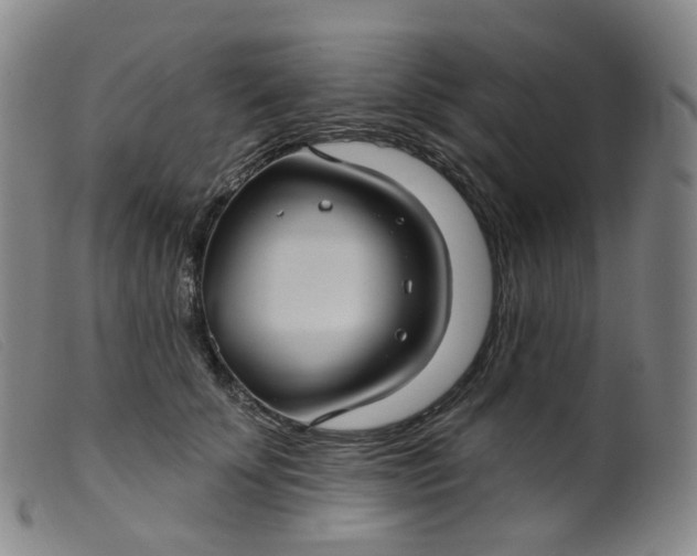 X0000099380707200805221806