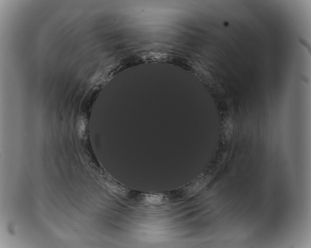 X0000099380709200805221806