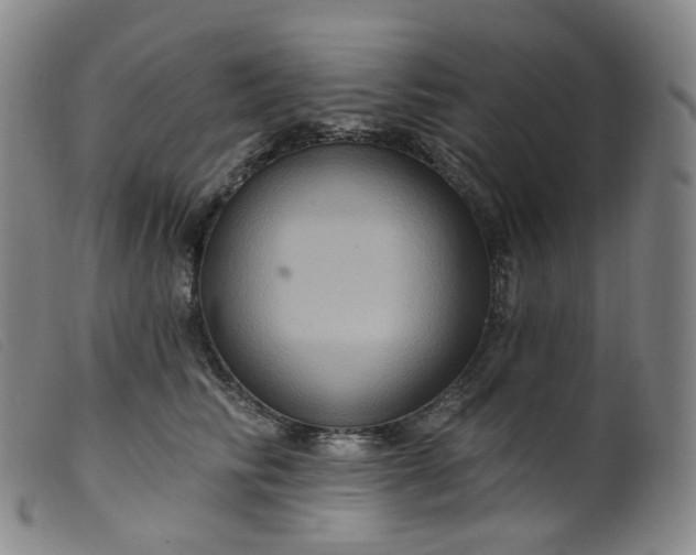 X0000099380710200805221806