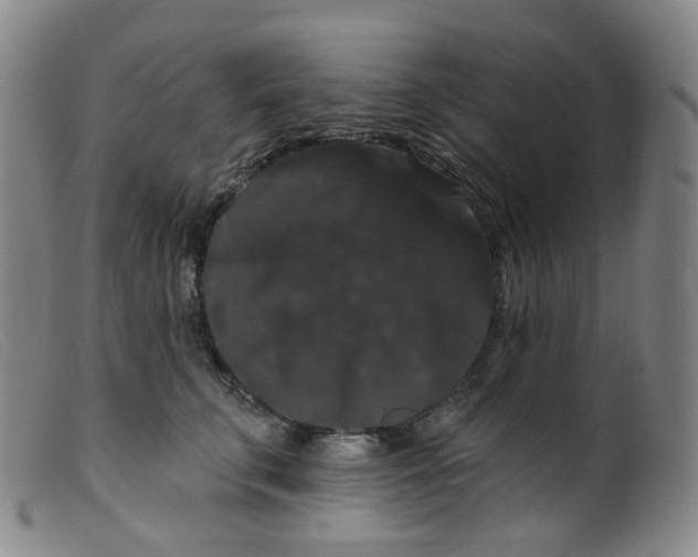 X0000099380711200805221806