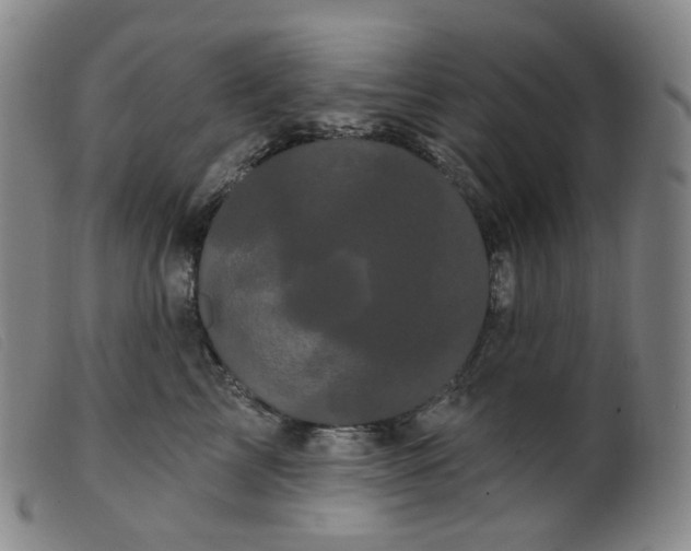 X0000099380713200805221806