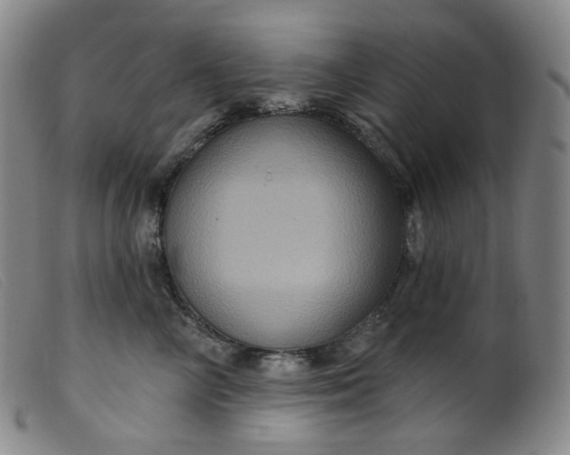 X0000099380714200805221806